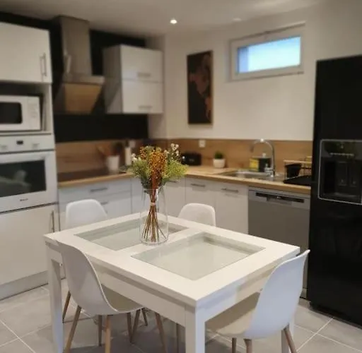 Appartement F3 Eurexpo Groupama Stadium Meyzieu Centre