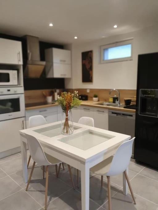 F3 Eurexpo Groupama Stadium Centre Apartment Meyzieu